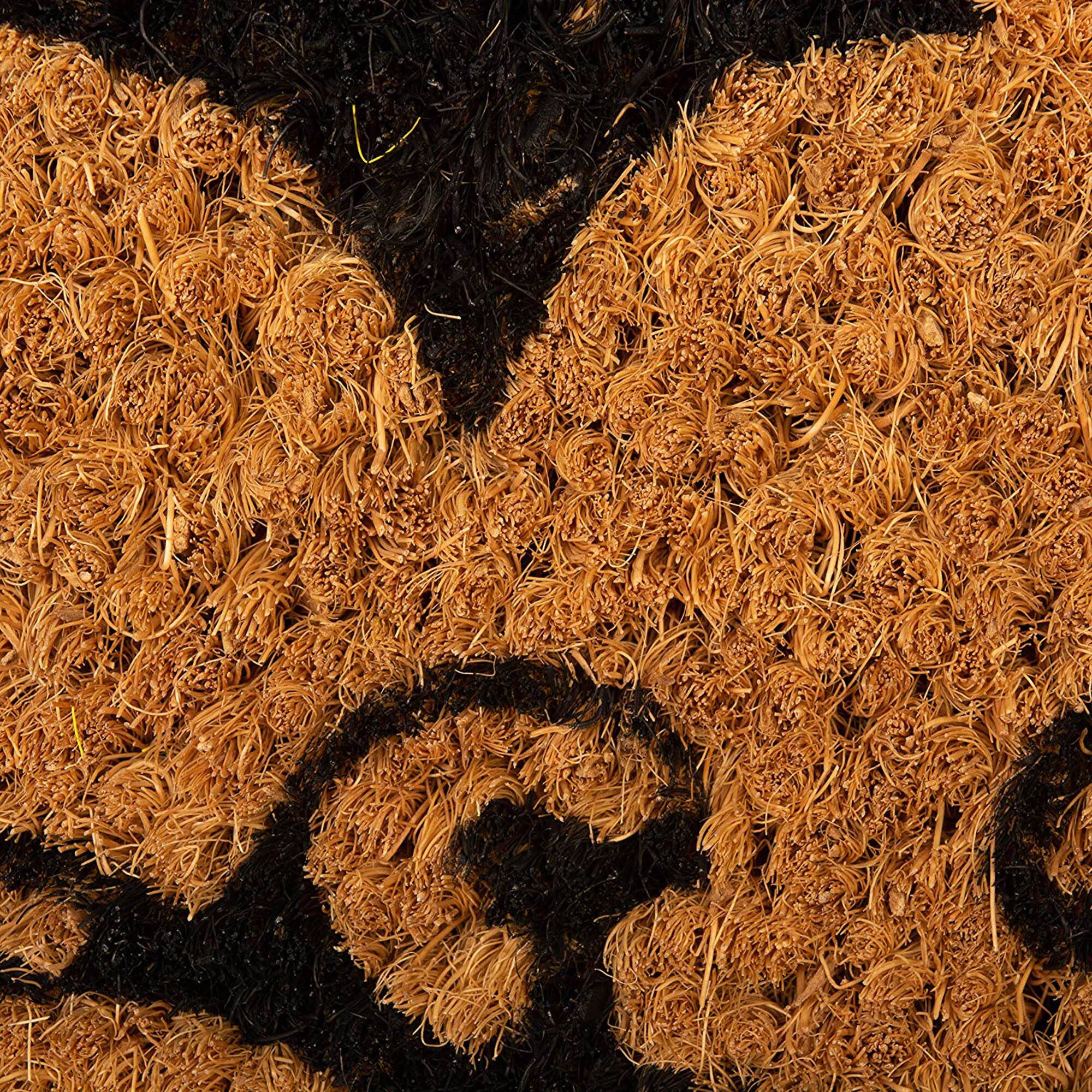 DII® Regal Fleur De Lis Vinyl Back Coir Doormat